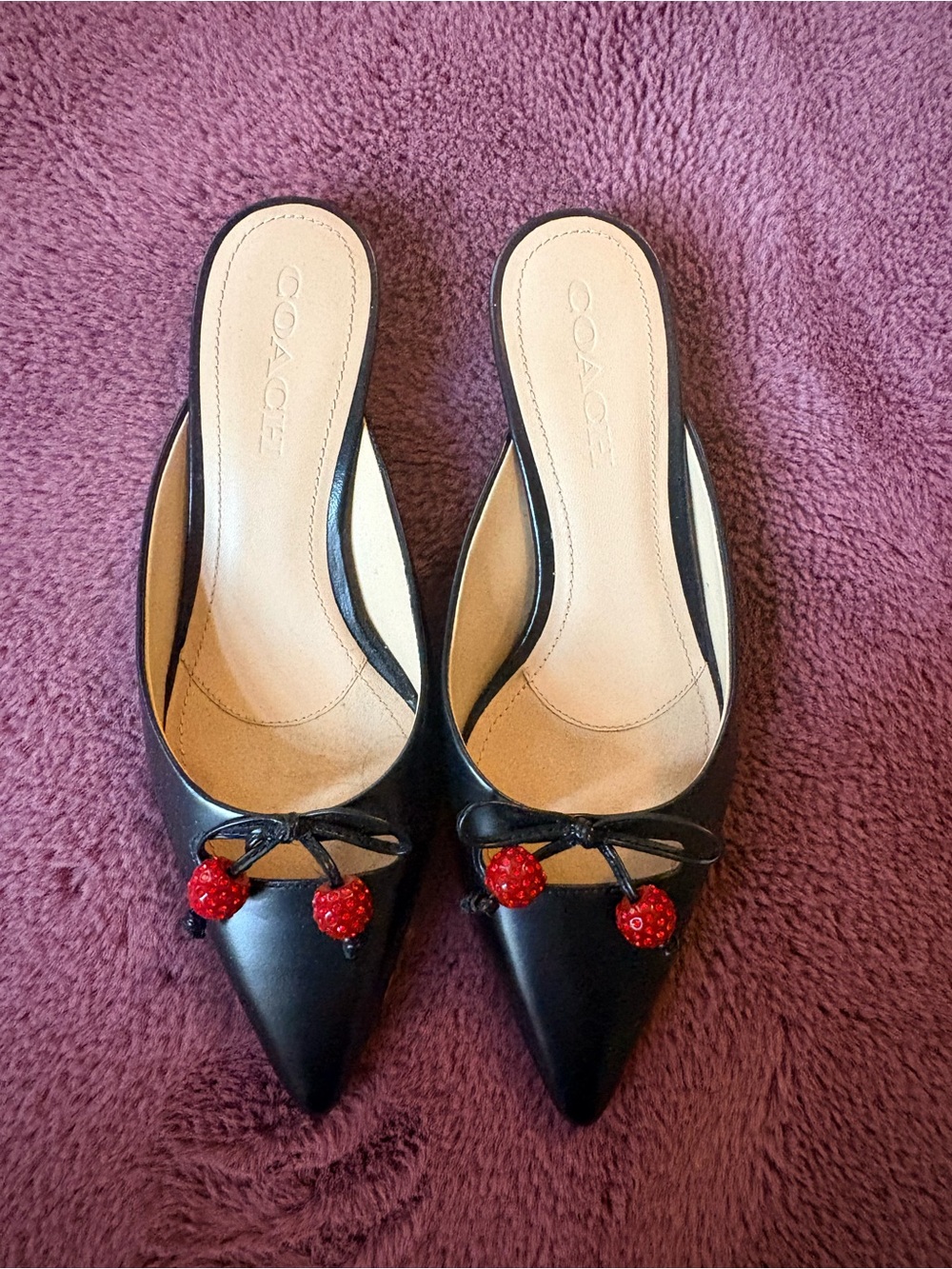 Coach Black Pointed-Toe Mules with Red Cherry Details
